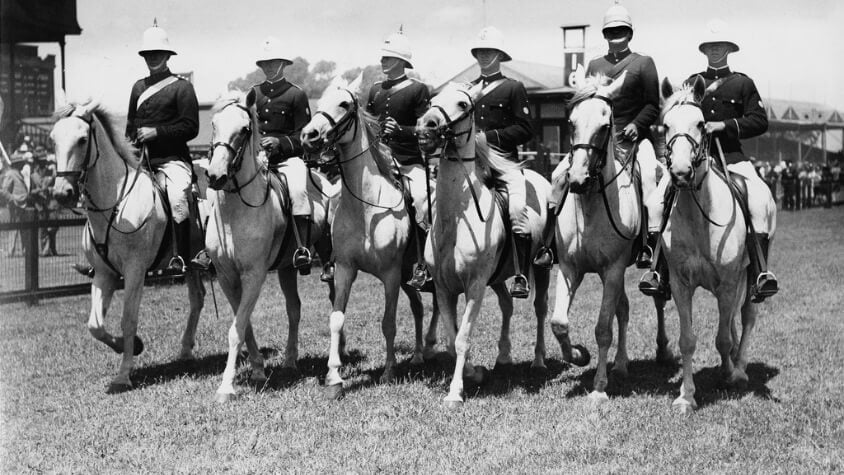 Mounted police troopers at Morphettville Race Course in January 1935. The six troopers are riding Police Greys horses.